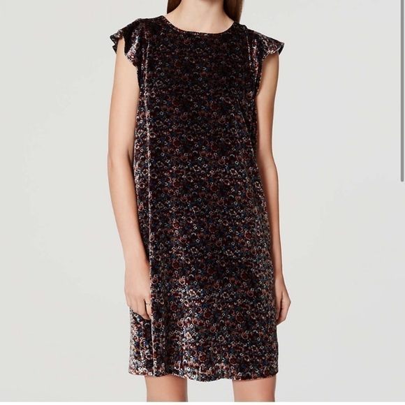 Nwt LOFT floral velvet sleeveless flutter sleeve mini dress - Picture 1 of 9